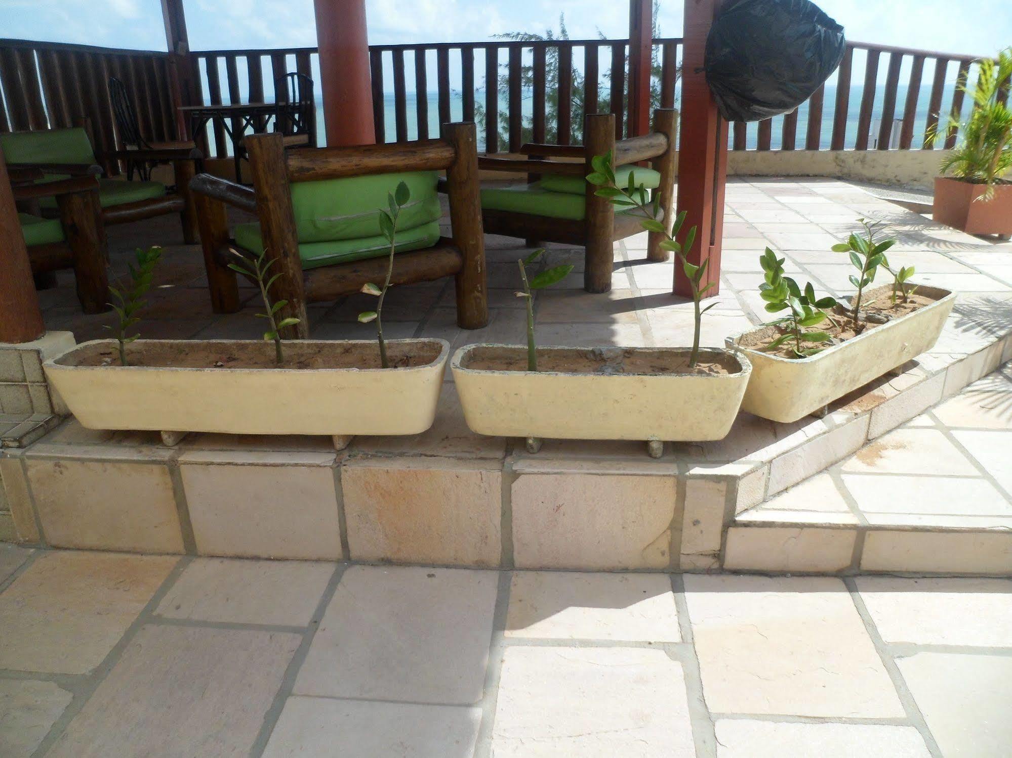 Laina's Place Hotel 3*